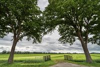 Noord Holland
