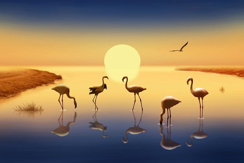 Flamingo's in de avondzon van Monika Jüngling