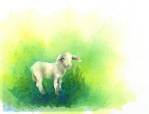 Cute Little Lamb Watercolour Painting by Karen Kaspar