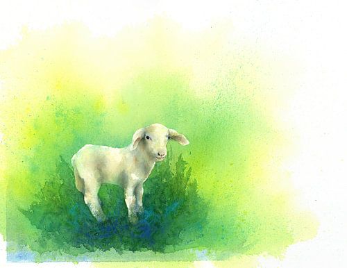 Doux petit agneau aquarelle