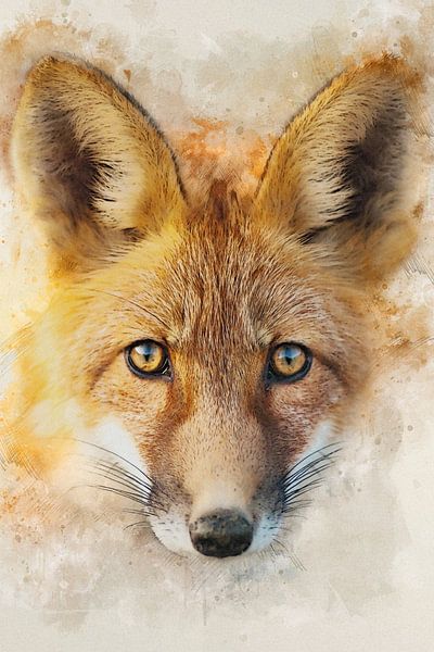 Vos by Bert Quaedvlieg