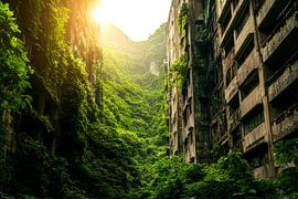 Verlassene Stadt mit Pflanzenbewuchs von Poster Art Shop