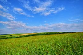 Slawonien im Morgengrauen von Ilija Stanusic