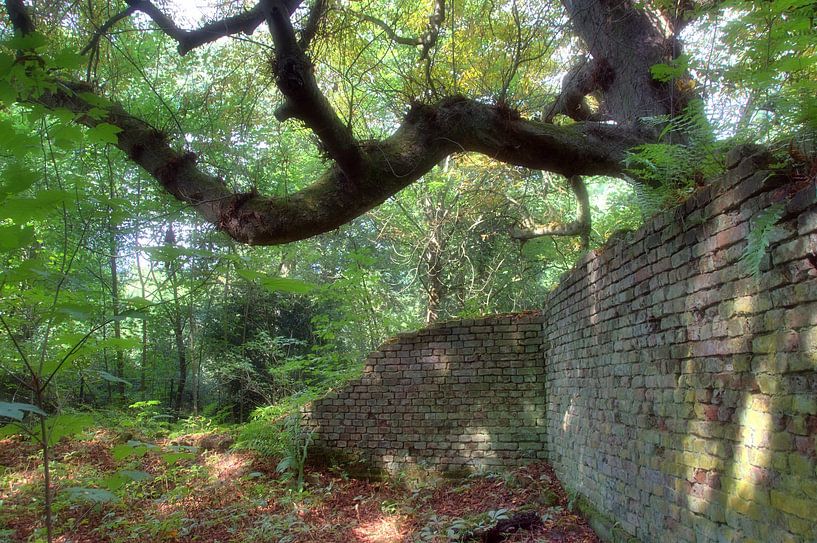 Le pouvoir de la nature par Edgar Schermaul