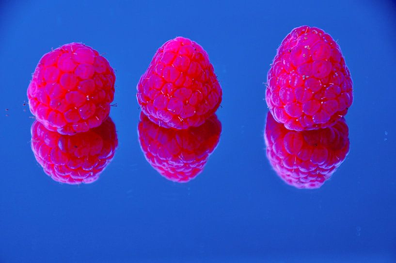Raspberry by Yvette Meijer