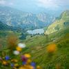 Bloemrijk uitzicht op de Seealpsee in de Allgäuer Alpen van Leo Schindzielorz