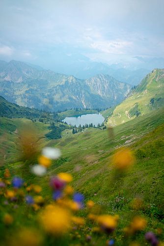 Bloemrijk uitzicht op de Seealpsee in de Allgäuer Alpen