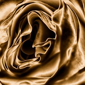 Rose in bronze by Jan Sportel Photography