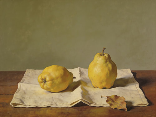 Quinces Beside the Open Linen