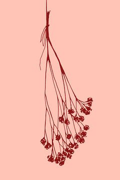 Gypsophila inktschets II van Rosana Laiz Blursbyai