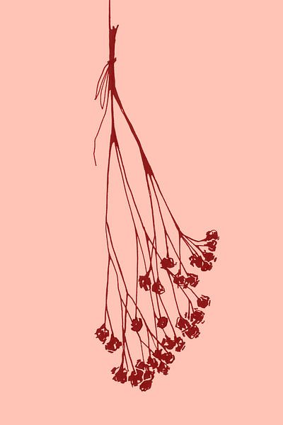 Gypsophila inktschets II van Rosana Laiz Blursbyai