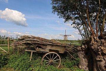 landschap met boerenkar en molen op achtergrond