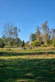 zweden 605 van Geertjan Plooijer