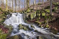 Kleine waterval bij de Buchenbach