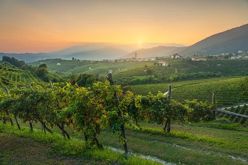 Coucher de soleil sur les collines du Prosecco et le village de San Pietro di Barbozza