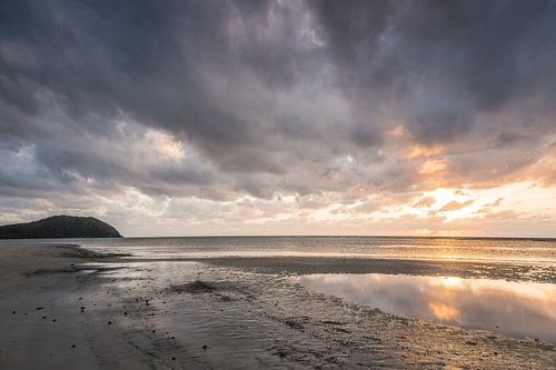 Cape Tribulation