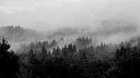 MISTY MOUNTAINS