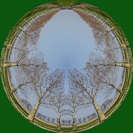 Button trees, green. by Greet ten Have-Bloem