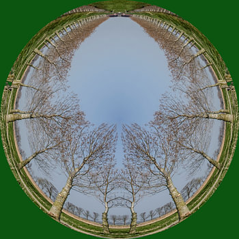 Rondje bomen, groen.
