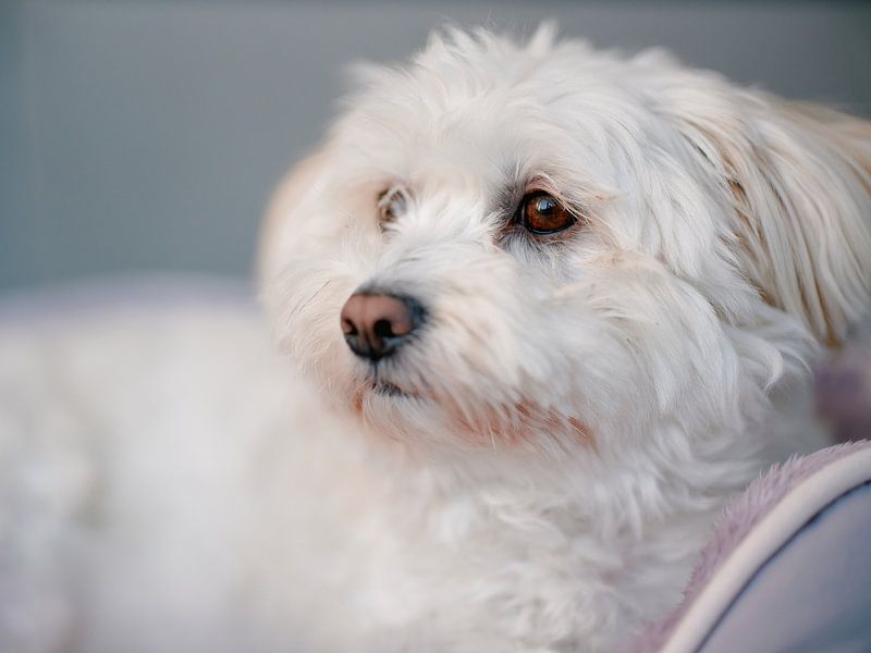 Entspannter Blick aus dem Fenster von Momentaufnahme | Marius Ahlers