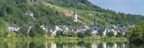 Briedel sur la Moselle