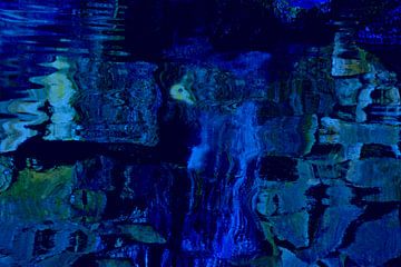 FISH SWIMMING 1 by Miroslav Ptacek