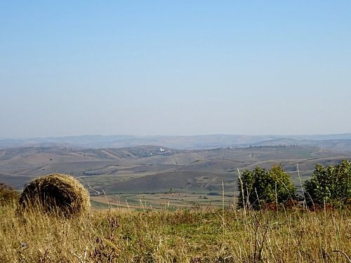 Hooibaal in de natuur