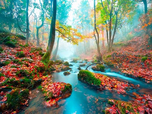 Mist in het bos en een beekje