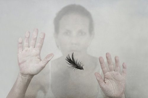 Jenny de Groot | Fade to white | 2013 | nr. 1 / oplage 25