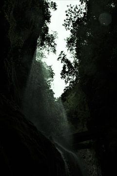 Goutte à goutte sur Marije Zwart