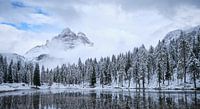 Snow Morning, Dolomites von Adrian Schiefele Miniaturansicht