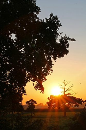 Sunset with beautiful sunrays