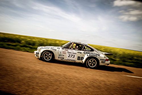 Ein PORSCHE im COLZA