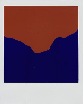 Polaroid Fail Number Three by Grain or Noise