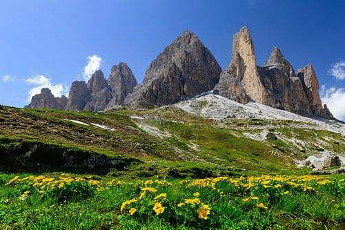 Tre Cime of Drei Zinnen bergen in de Dolomieten Italië