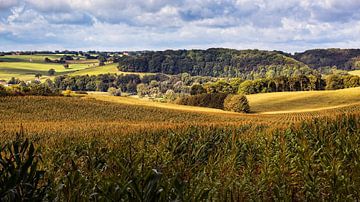 Eyserbos sur Rob Boon