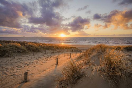 Dunes and beach on the coast of the Netherlands