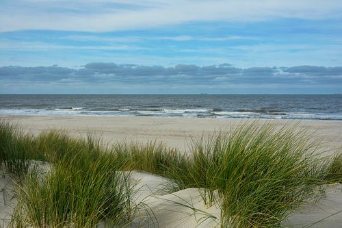 Noordzeekust