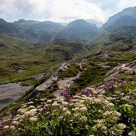Atop the Grimsel Pass in Switzerland by Nienke Stegeman