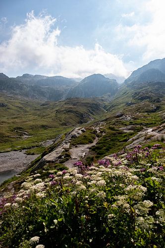 Bovenop de Grimselpas in Zwitserland