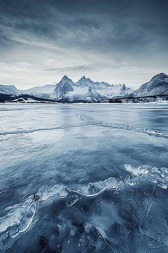 Greenland's coast in winter