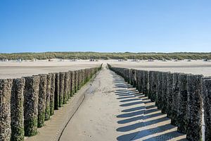 Brise-lames, maisons de plage et dunes