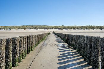 Golfbrekers, strandhuisjes en duinen