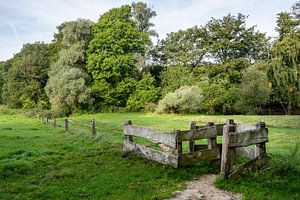 Sentier de randonnée sur le domaine d'Egheria à Twente