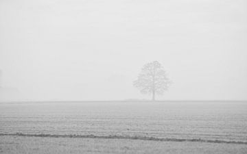De minimalistische Eik van Theo Bauhuis