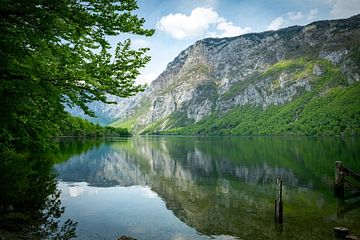 nature in slovenie met het  water van het meer van bohinj