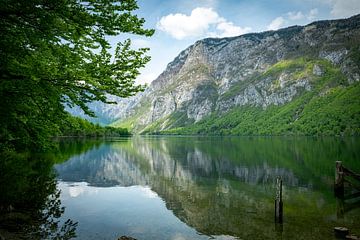 nature in slovenia with the waters of lake bohinj by ChrisWillemsen