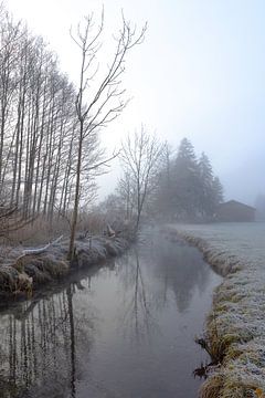 Ambiance brumeuse au bord du ruisseau sur Christina Bauer Photos