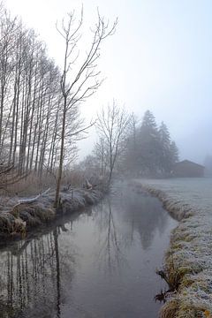 Nebelstimmung am Bach von Christina Bauer Photos