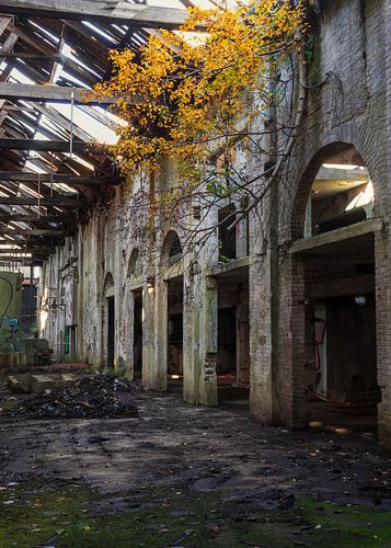 Aardappelmeelfabriek Ter Apel